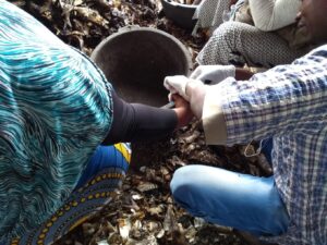 IMG_20191109_115555703_BURST000_COVER_TOP1