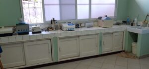 paillasse-apres-reorganisation