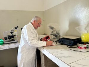 3305d8d5-5469-4fe9-a167-92f5163d2781